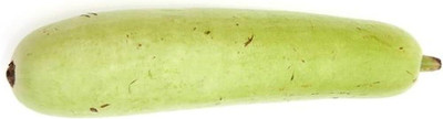 AloGardening Bottle Gourd F1 Hybrid Seeds Seed(23 per packet)