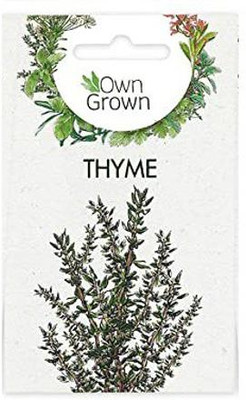 CYBEXIS Thyme Heirloom Herb Seeds200 Seeds Seed(200 per packet)