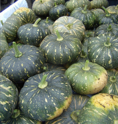 Farmonix Organic Jap Pumpkin Seed(100 per packet)