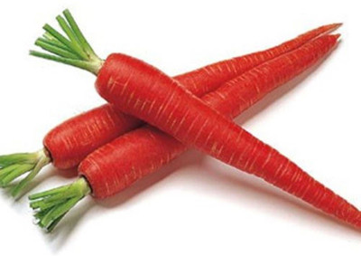 XOLDA Red carrot Seed(92 per packet)