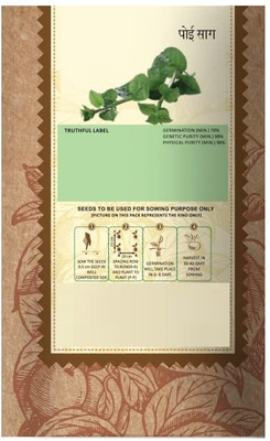 Qualtivate EXL-4AT Poi Saag or Malabar Spinach Seed(50 per packet)