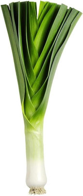 KNESSiN Heirloom American Flag Large Leek Vegetable Seeds For Gardening-(300 Seeds) Seed(300 per packet)