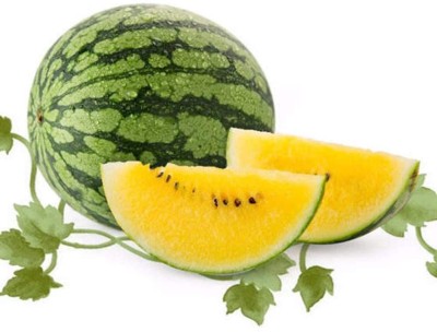 CYBEXIS Large Yellow Watermelon Seeds 200 Seeds Seed(200 per packet)