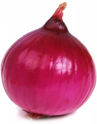 Quentova Nasik Onion-CTU-5L Seed(200 per packet)