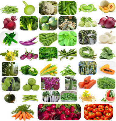 SEEDS EVOLUTION 35 vegetsble plant seeds combo pack with instruction manual seed Seed(3000 per packet)