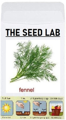 KNESSiN Fennel Seed(200 per packet)