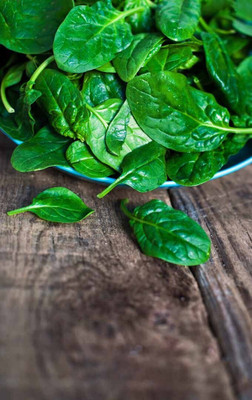 Quentova Palak Spinach/पालक के बीज-NAMO-11T Seed(250 per packet)