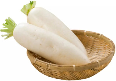 VINTI Organic White Radish मूली के बीज Seed(2500 per packet)