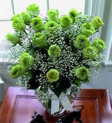 CYBEXIS LXI-5 - GREEN ROSE - (100 Seeds) Seed(100 per packet)