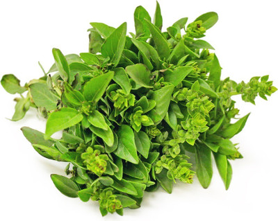 Qualtivate LX-1 Pistou, Basil Seeds Seed(1000 per packet)