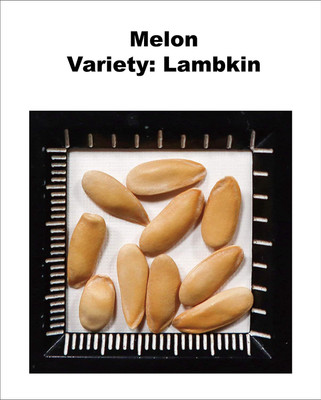 WILLVINE LX-388 F1 Hybrid Melon Seeds, Variety: Lambkin Seed(200 per packet)
