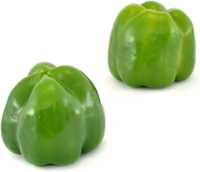 CYBEXIS Heirloom Green Capsicum Sweet Bell Pepper Seeds 600 Seeds Seed(600 per packet)