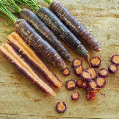 CYBEXIS NDIR-51 - Carrot - Purple Haze - (2250 Seeds) Seed(2250 per packet)