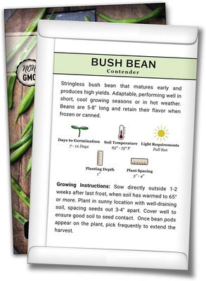 WILLVINE ® Contender Green Bean Seeds Seed(5000 per packet)