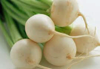 Qualtivate ICRA-4A Ping Pong Radish, White Round Seed(300 per packet)