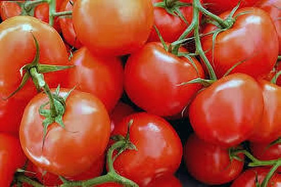 Oliver hybrid f1 quality tomato Seed(105 per packet)