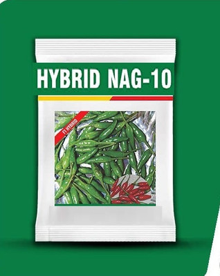 WILLVINE MAH -XII Nag-10 chilli/Bullet chilli/Bird eye mirchi[25gm, 5000 Seeds] Seed(5000 per packet)