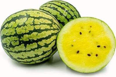 CYBEXIS NDIR-34 - Yellow Watermelon - (150 Seeds) Seed(150 per packet)