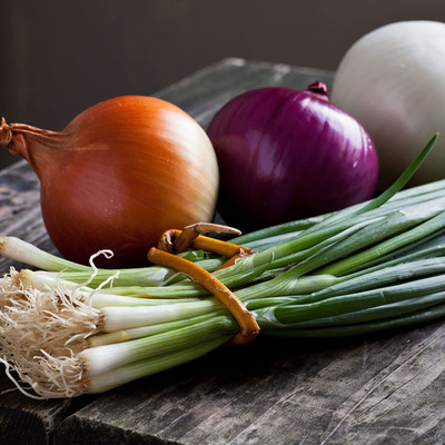 VibeX XLL-18 - White Ebenzer Onion - (4500 Seeds) Seed(4500 per packet)