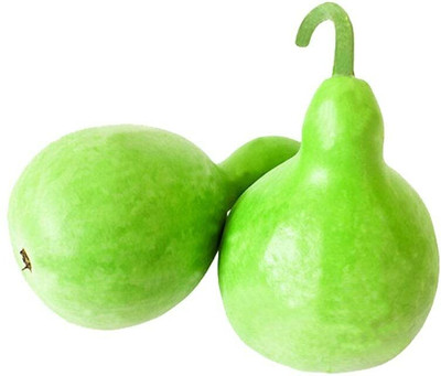 KANAYA LAW/LOWKI Round Bottle Gourd Lauki/Lau/Clabash Seed(34 per packet)