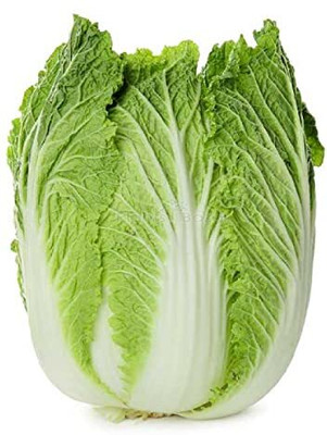 WILLVINE SCI -IV Chinese Cabbage Seeds [50g] Seed(15000 per packet)