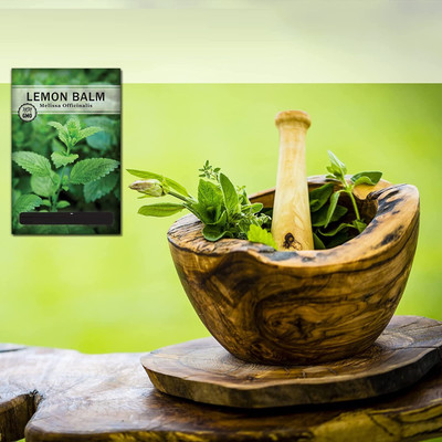 CYBEXIS PAU-45 - Lemon Balm - (2250 Seeds) Seed(2250 per packet)