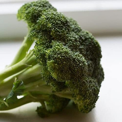 Qualtivate XXX-6A Sunking Broccoli Seeds Seed(300 per packet)