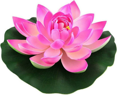 Khushi Prova Fresh Lotus Hybrid Flower Quality Seed(20 per packet)