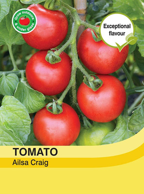 WILLVINE Ailsa Craig Tomato Seeds-[3000 Seeds] Seed(3000 per packet)