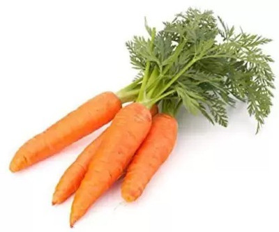 MAA Carrot, Gajar Seed(300 per packet)