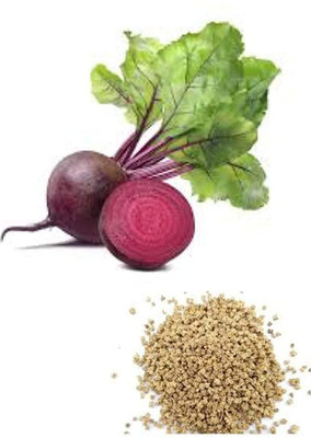 Aywal Beetroot Red Ball Seed(2000 per packet)