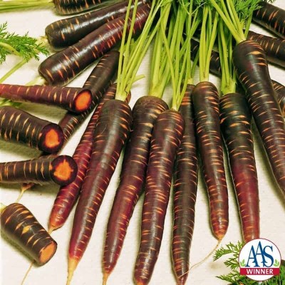 KNESSiN Carrot Purple Haze Seed(300 per packet)