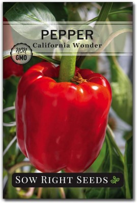 Qualtivate XXX-1A California Wonder Pepper Chilli Seed(300 per packet)