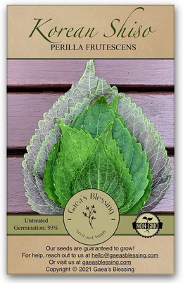 CYBEXIS LX-81 - Korean Shiso (Perilla) - (250 Seeds) Seed(250 per packet)
