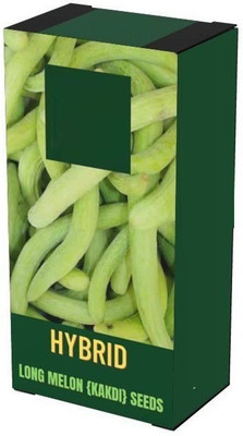 VibeX LX-81 - Hybrid Long melon kakdi kakri - (450 Seeds) Seed(450 per packet)