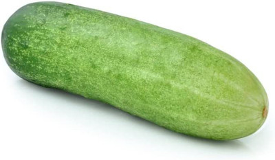 CYBEXIS VXI-87 - Calypso Cucumber - (450 Seeds) Seed(450 per packet)