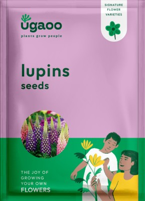 UGAOO Lupins Flower Seeds (Multicolour, Pack of 50) Seed(10 g)