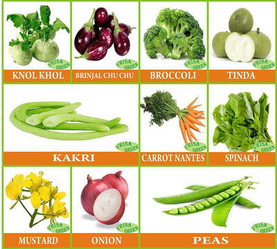 CYBEXIS 10 Varieties of Vegetable Seeds Combo Seed(10 g)