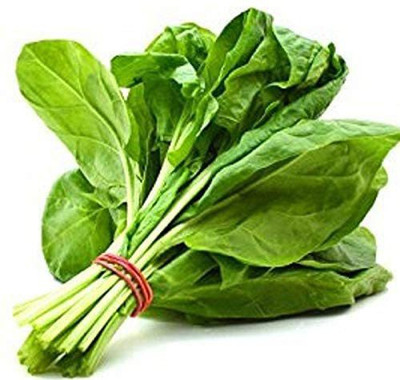 Aywal पालक के बीज/Palak Spinach Seed(3000 per packet)
