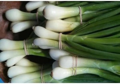 VibeX ® VLR-847 SPRING CUT BUNCHING ONION SEEDS Seed(1000 per packet)