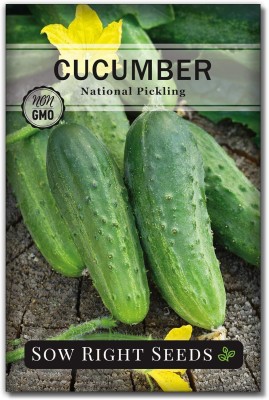 Qualtivate JXL-8AT National Pickling Cucumber Seeds Seed(300 per packet)