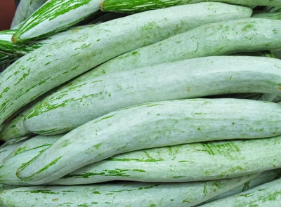 VYDER Snake Gourd – Trichosanthes Cucumerina Seed(100 per packet)