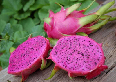 Oliver imported@ hybrid dragon fruit seed Seed(160 per packet)