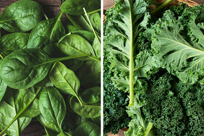 GREENSEA Palak/Spinach Seed(107 per packet)