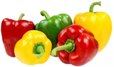 VASUDHA शिमला मिर्च Capsicum/Shimla Mirch (Mixed) Seed(100 per packet)
