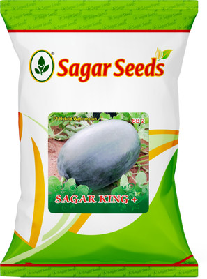 the green dotcom SAGAR KING+ WATERMELON Seed(105 per packet)