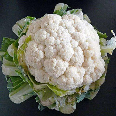CYBEXIS TLX-58 - F1 HYBRID CAULIFLOWER - (1350 Seeds) Seed(1350 per packet)