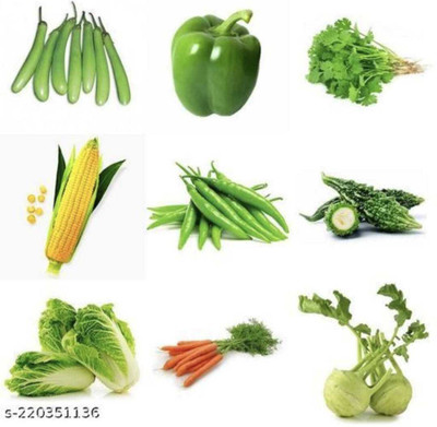 FRESHO All Mixed Vegetable Seeds Seed(250 per packet)