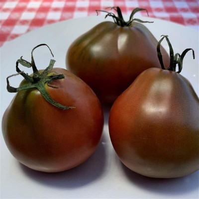 Lorvox Grow All Seasons Cherry Black Tomato,Plum Tomatoes Seed(700 per packet)