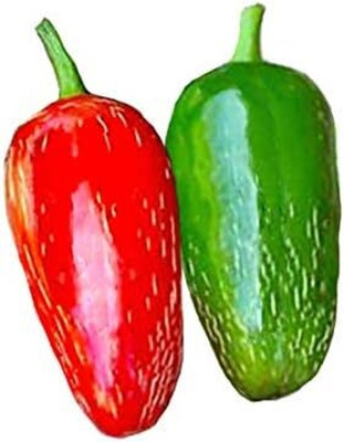 Biosnyg F1 Hybrid Jalapeno Traveler Pepper Vegetable Seeds For Gardening-(2000 Seeds) Seed(2000 per packet)